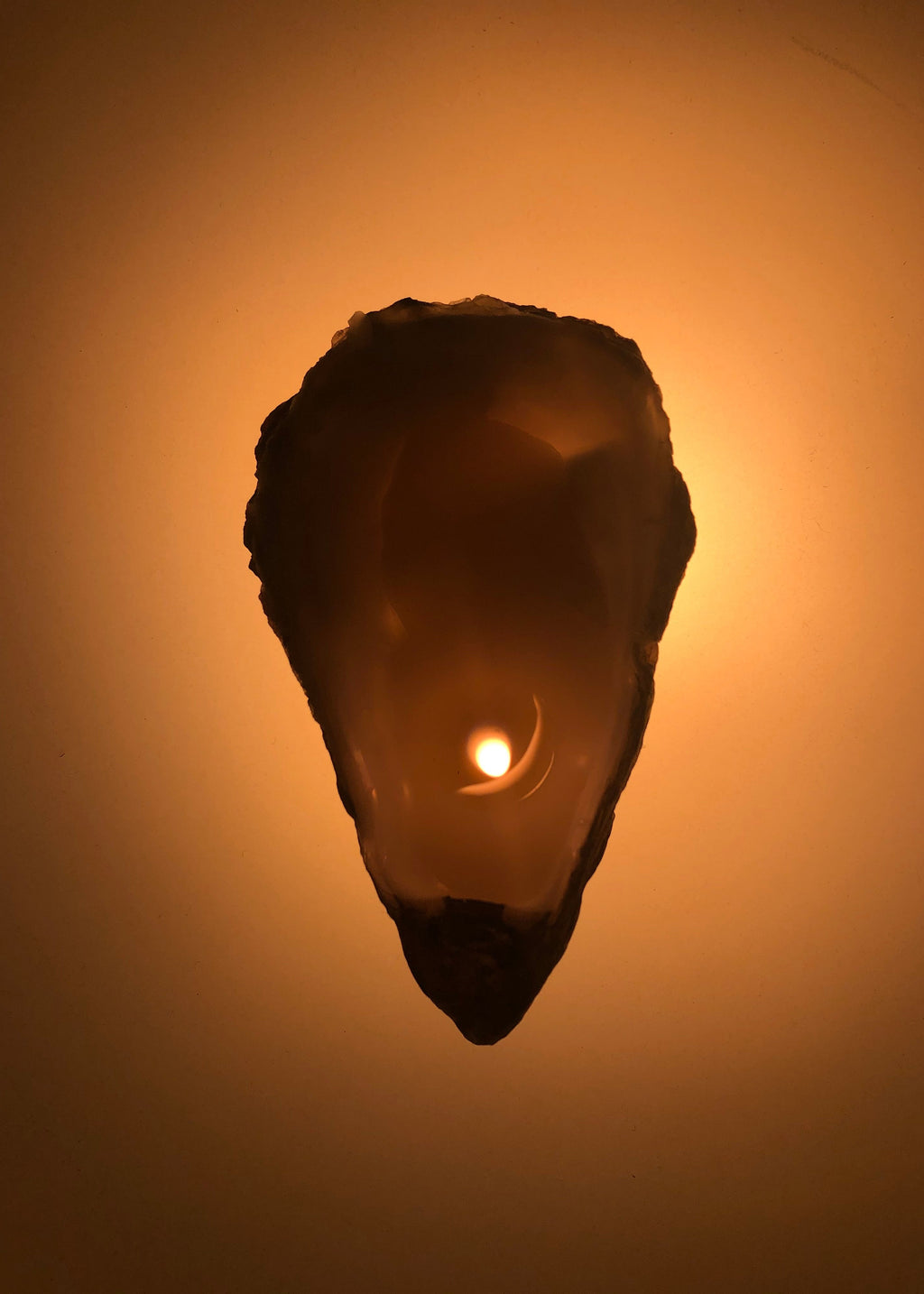 Close-up of a lit oyster candle with a warm glow on a beige orange background