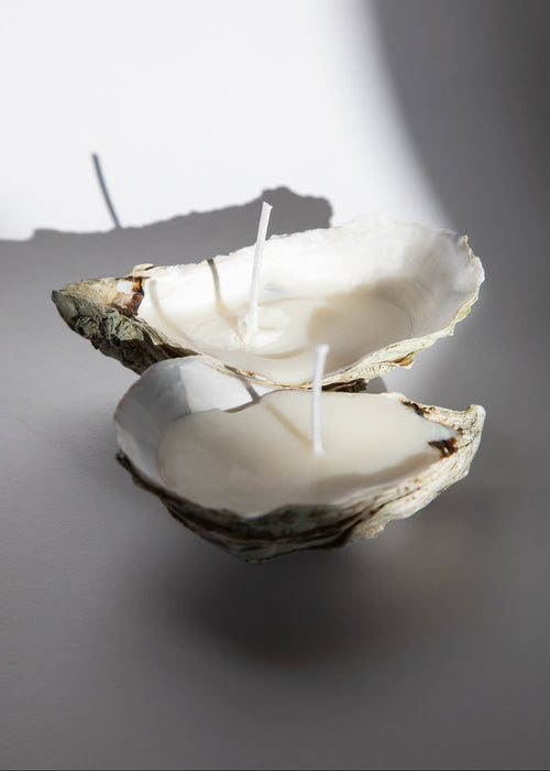 Candle inside an oyster shell on a gray background