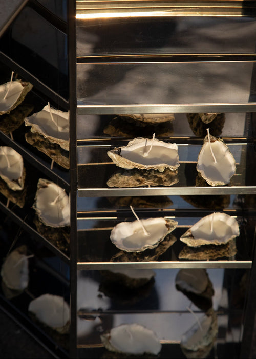 Oyster Candles in a mirror-polished shelf