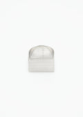 Silver Ring matte-polished on a white background